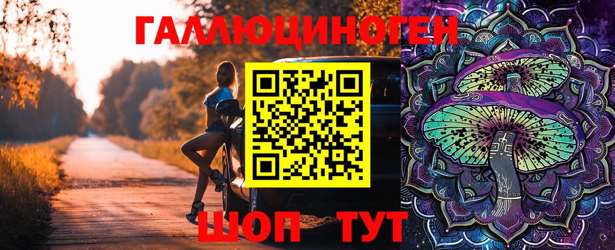 Псилоцибиновые грибы Psilocybine cubensis  Вход с VPN  Псилоцибиновые грибы мицелий  Нижний Новгород 