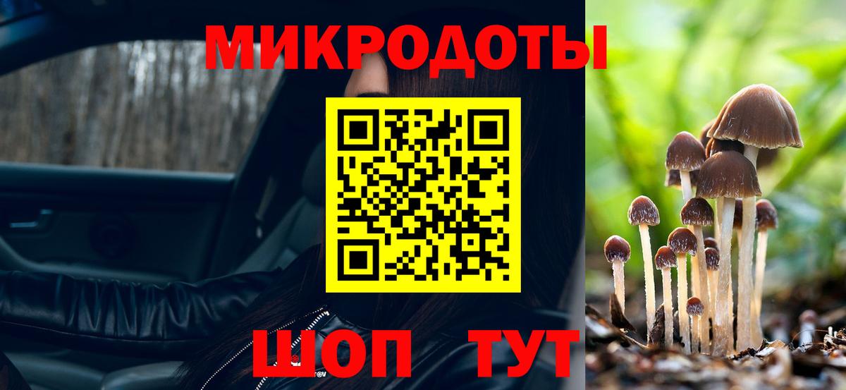 Псилоцибиновые грибы мицелий Нижний Новгород